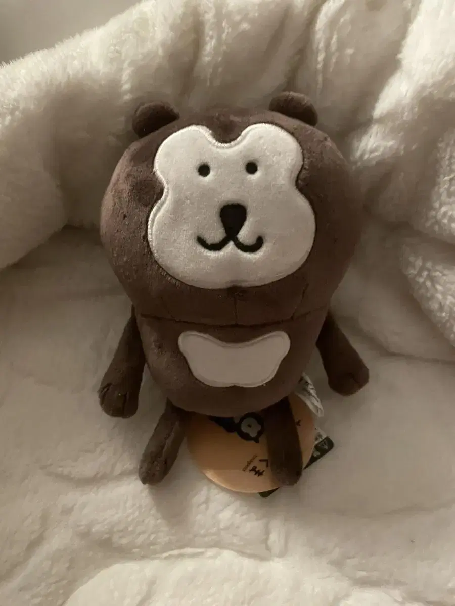 말레이곰 농담곰 콜라보